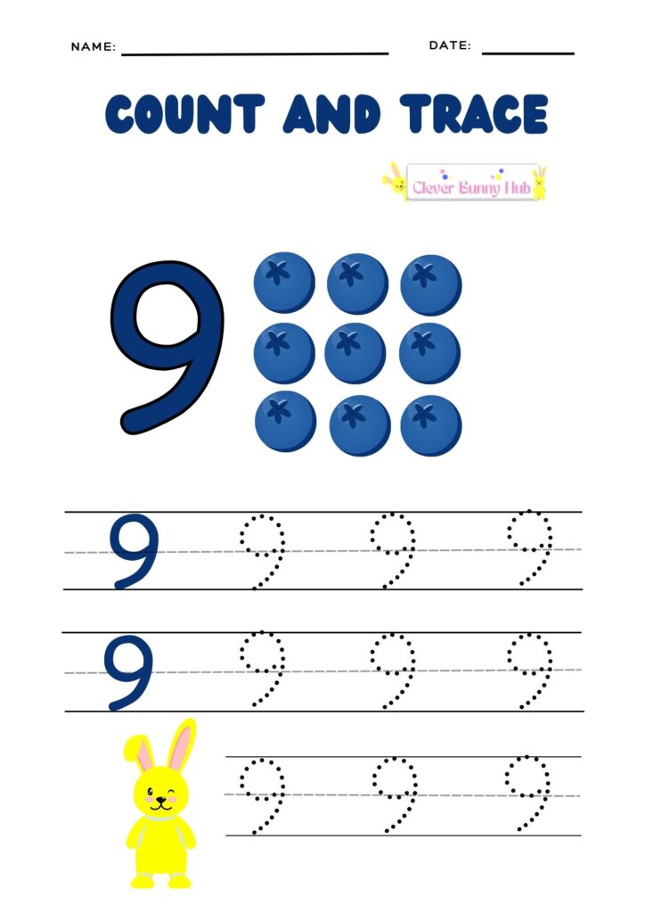 Count and Trace Worksheets 9