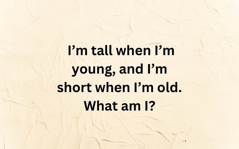  I’m tall when I’m young, and I’m short when I’m old. What am I?