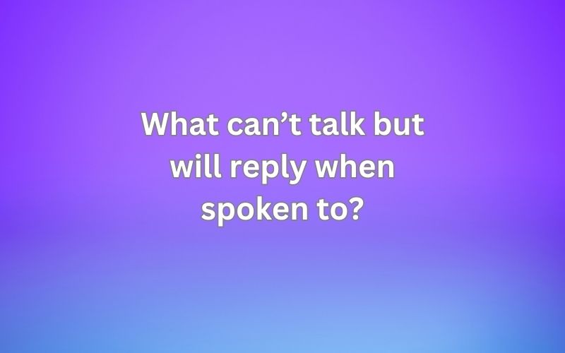 What can’t talk but will reply when spoken to?