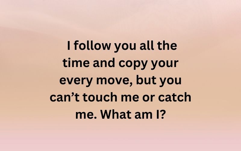  I follow you all the time and copy your every move, but you can’t touch me or catch me. What am I?