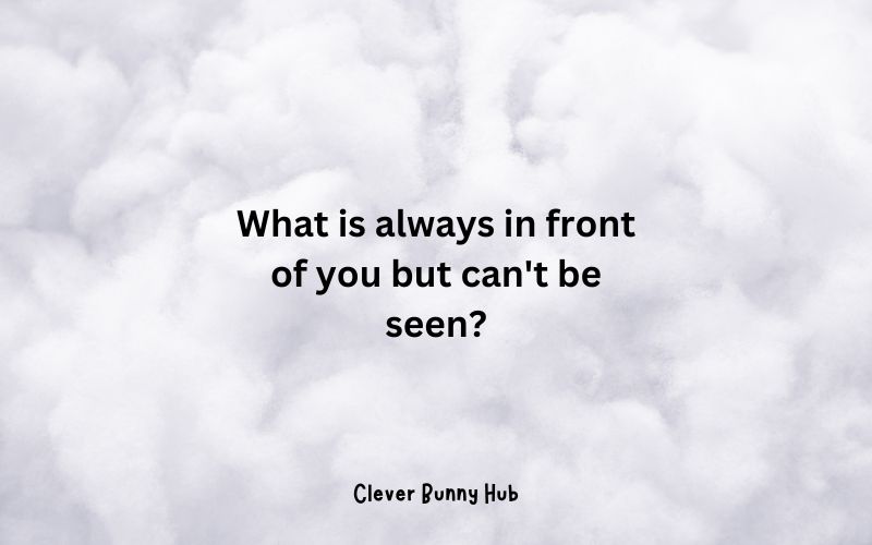 What is always in front of you but can't be seen?