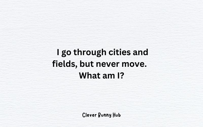  I go through cities and fields, but never move.  What am I?