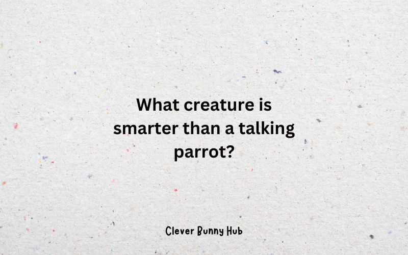 What creature is smarter than a talking parrot? Tricky Riddles With Answers