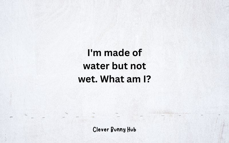 I'm made of water but not wet. What am I?