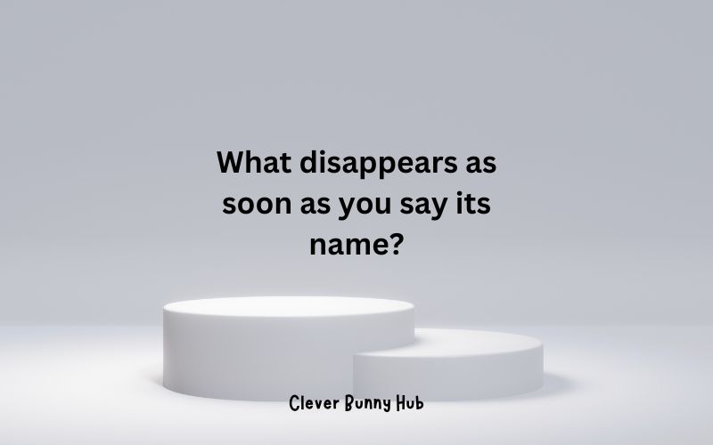 What disappears as soon as you say its name?
