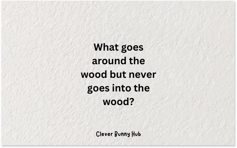 What goes around the wood but never goes into the wood?