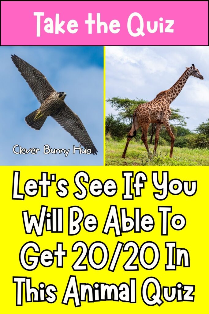 Let's See If You Will Be Able To Get 20/20 In This Animal Quiz