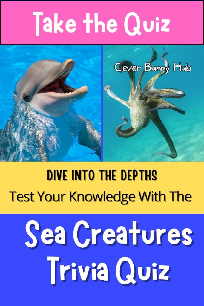 Sea creatures trivia quiz