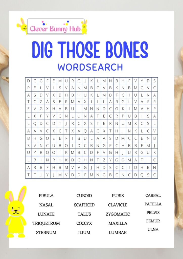 Dig those bones wordsearch