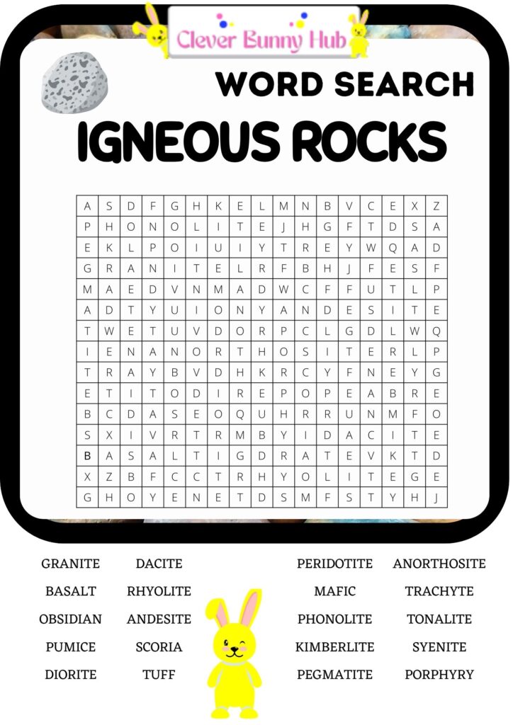 Igneous rocks word search