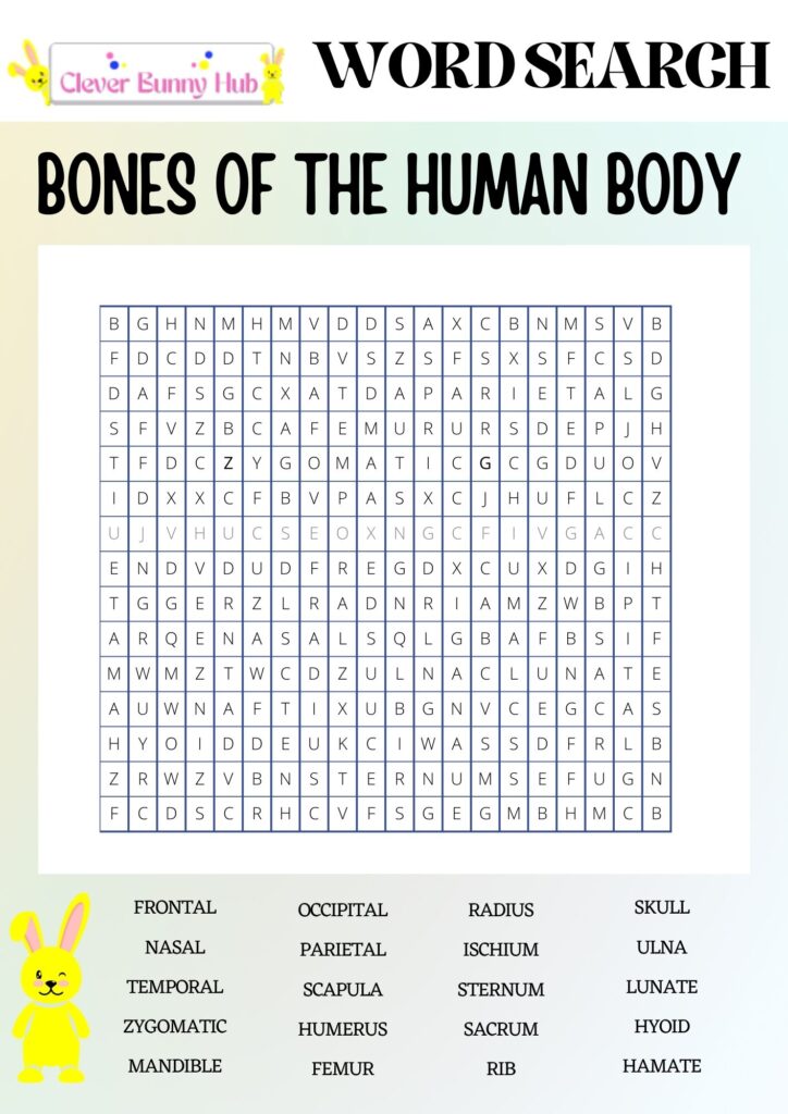 Bones of the human body wordsearch