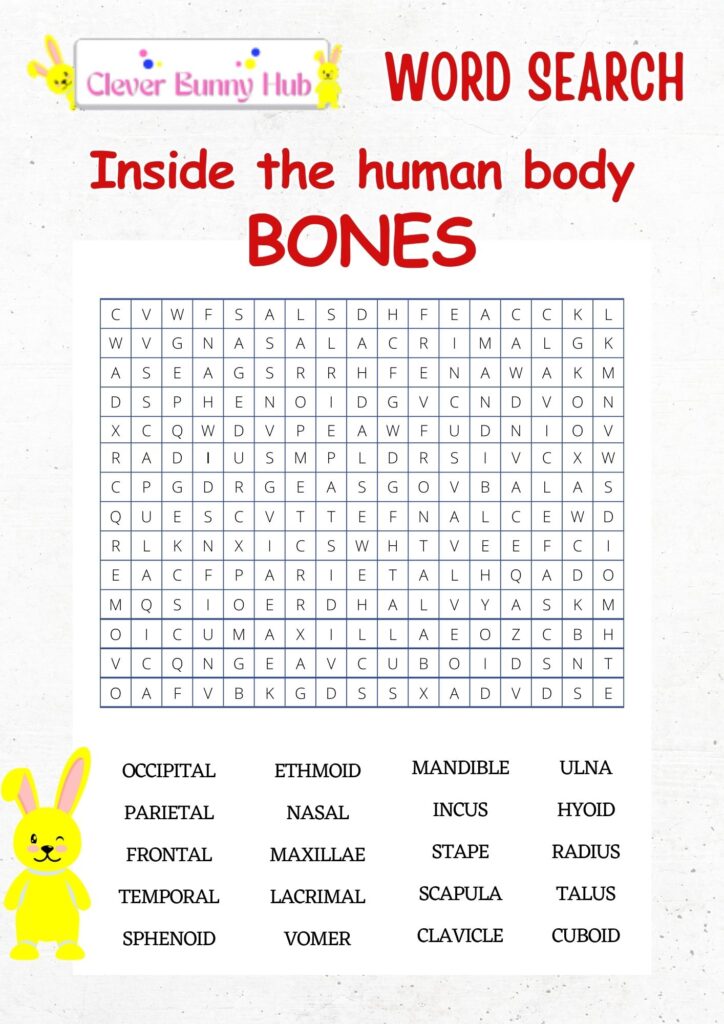 Inside the human body bones wordsearch