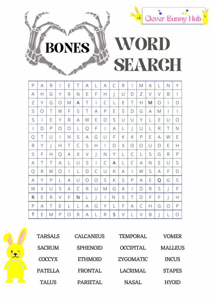 Bones wordsearch puzzle