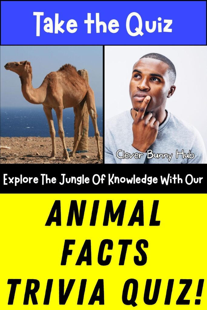 Explore The Jungle Of Knowledge With Our  Animal Facts Trivia Quiz!