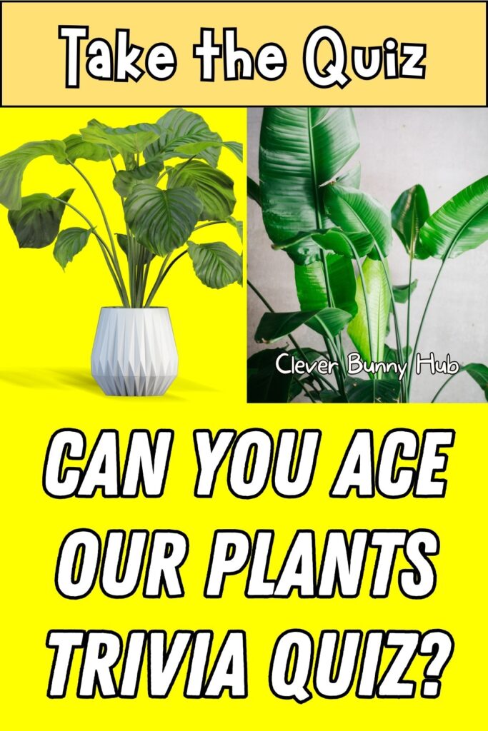 Can You Ace Our Plants Trivia Quiz?