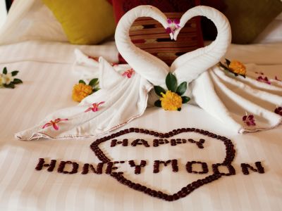 What is your ideal honeymoon destination?