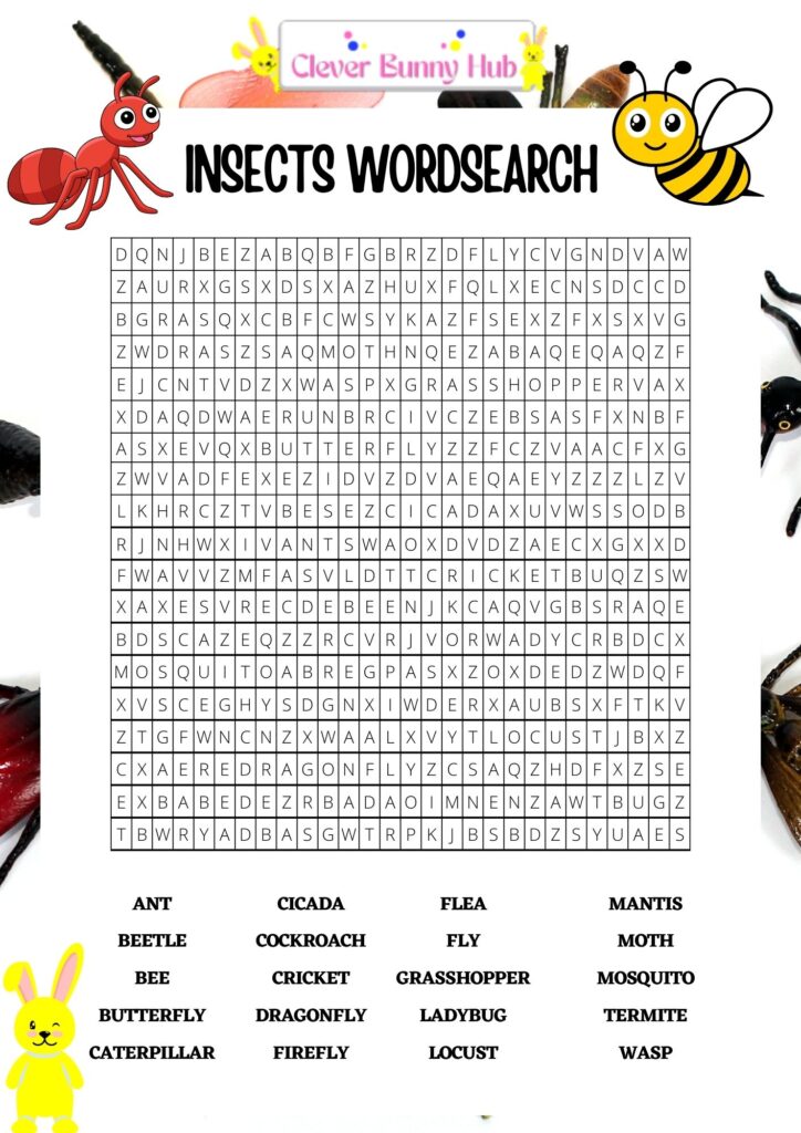 Insects Wordsearch