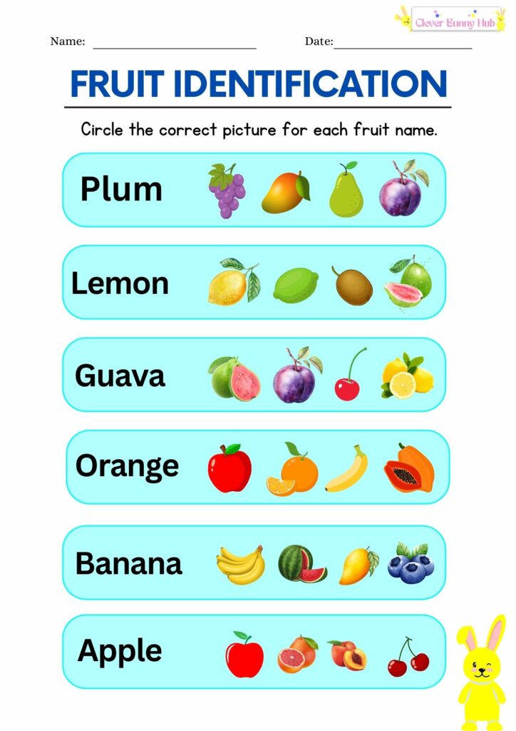 Fruit Identification Worksheet