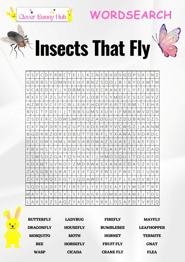 Insects That Fly Wordsearch