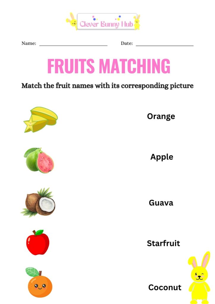 Fruit Matching Worksheet