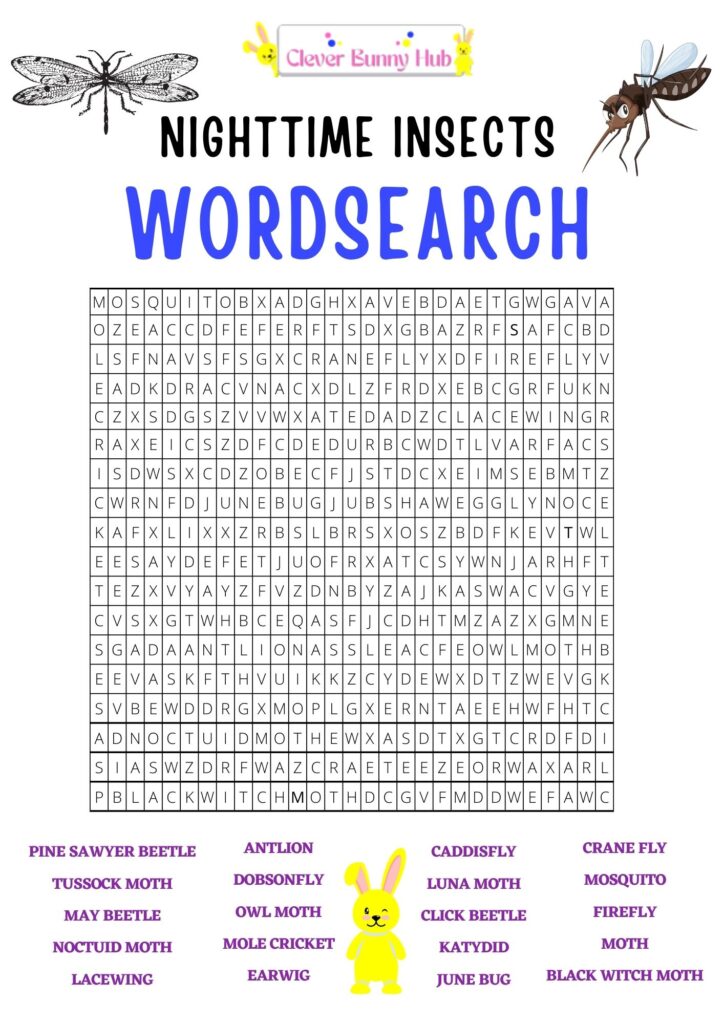 Nighttime Insects Wordsearch