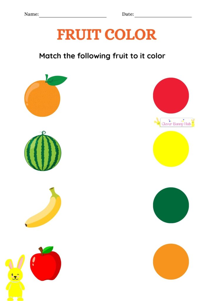 Fruit Color Worksheet